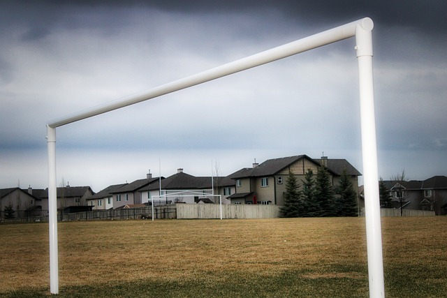 无限期待 无限期待